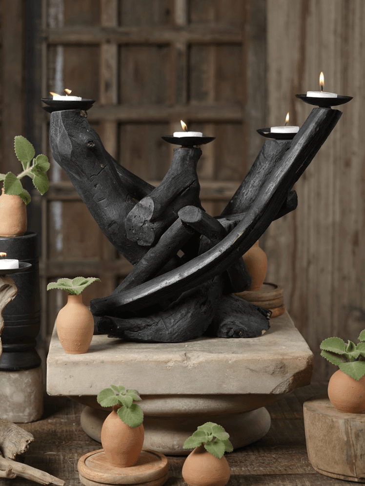 Shop Top Fashion Beauty and Home Products